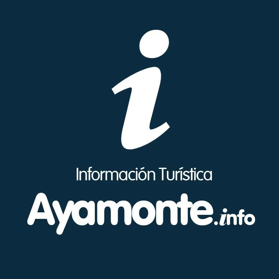 non-profit-05 Eventos