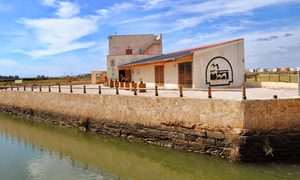 ayamonte-el-molino-de-el-pintado