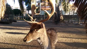 Parque Prudencio Navarro