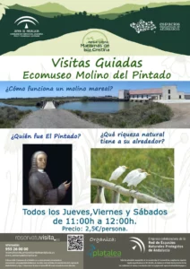 Visita Guiada Ecomuseo Molino Mareal del Pintado