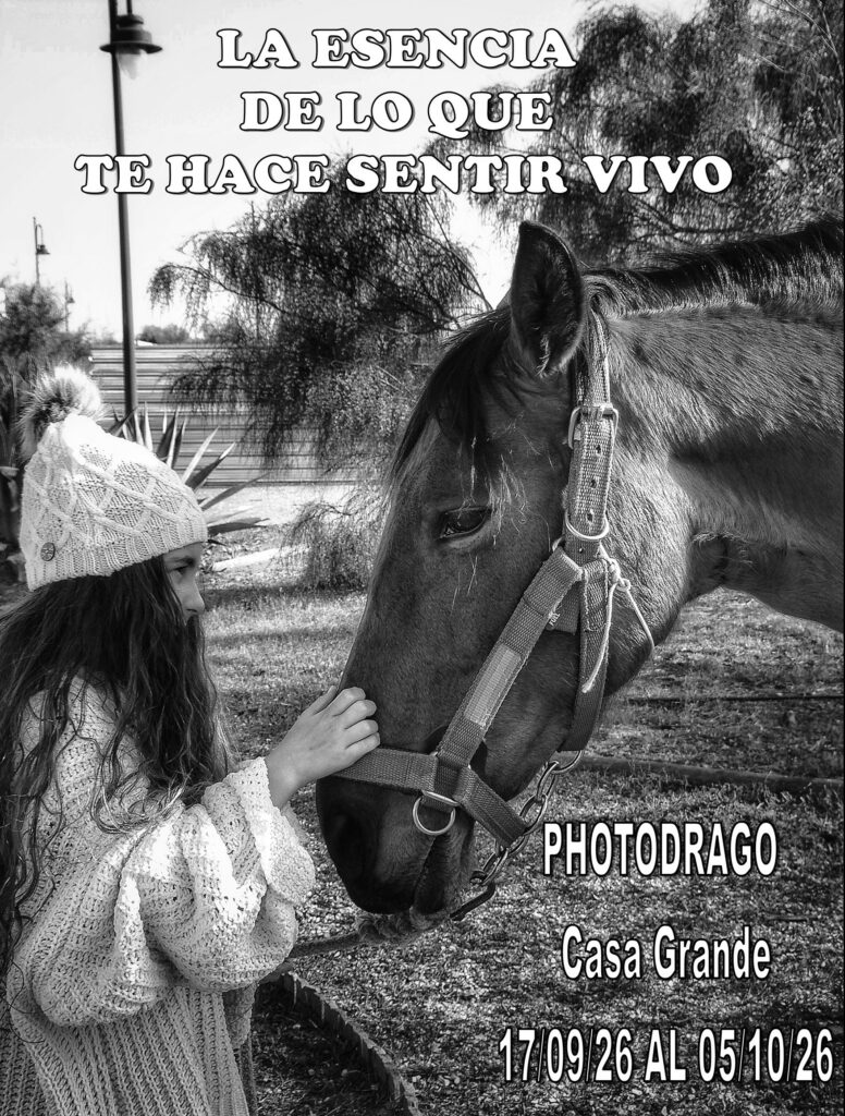 EXPOSICIÓN: LA ESENCIA DE LO QUE TE HACE SENTIR VIVO