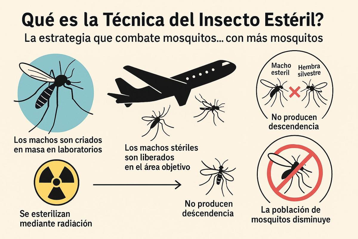 mosca TIE insecto esteril mosca TIE insecto esteril