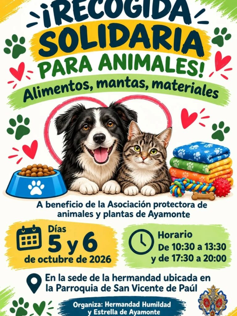 RECOGIDA SOLIDARIA PARA ANIMALES